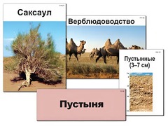 Модель-аппликация "Природные зоны России" (ламинированная) - fgospostavki.ru - Иркутск