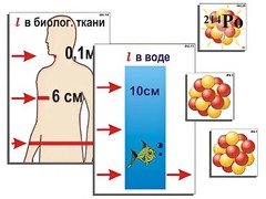 Модель-аппликация "Явление радиоактивности" (ламинированная) - fgospostavki.ru - Иркутск