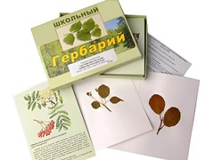 Гербарий "Систематика растений. Семейство Розоцветные" (раздаточный) - fgospostavki.ru - Иркутск
