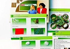 Коллекция "Шелк и продукты его переработки" (средняя школа) - fgospostavki.ru - Иркутск