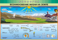 Таблица "Возникновение жизни на земле" (100х140 сантиметров, винил) - fgospostavki.ru - Иркутск