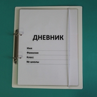 Дневник школьника (с полным набором карточек) - fgospostavki.ru - Иркутск