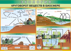 Таблица "Круговорот веществ в биосфере" (100х140 сантиметров, винил) - fgospostavki.ru - Иркутск