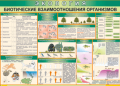 Таблица "Биотические взаимоотношения организмов" (100х140 сантиметров, винил) - fgospostavki.ru - Иркутск