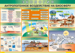 Таблица "Антропогенное воздействие на биосферу" (100х140 сантиметров, винил) - fgospostavki.ru - Иркутск