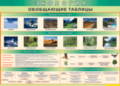Таблица "Экология. Обобщающие таблицы" (100х140 сантиметров, винил) - fgospostavki.ru - Иркутск