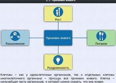 Интерактивные курсы. Биология 5 класс. Базовый - fgospostavki.ru - Иркутск
