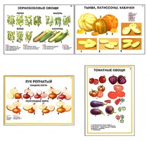 Плакаты ПРОФТЕХ "Ассортимент овощных культур" (12 пл, винил, 70х100) - fgospostavki.ru - Иркутск