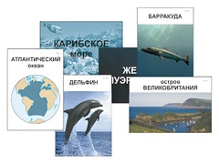 Модель-аппликация "Океаны. Знакомство" (ламинированная) - fgospostavki.ru - Иркутск