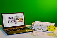 Коллекция натурально-интерактивная "Кварц в природе" - fgospostavki.ru - Иркутск