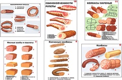 Плакаты ПРОФТЕХ "Ассортимент колбасной и мясной продукции" (11 пл, винил, 70х100) - fgospostavki.ru - Иркутск