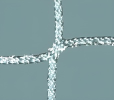 Сетка заградительная ячейка (нить 3,5 мм) (40х40 мм) - fgospostavki.ru - Иркутск