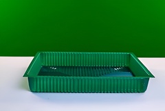 Лоток раздаточный лабораторный 250х150х45 - fgospostavki.ru - Иркутск