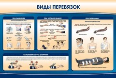 Стенд "Виды перевязок" - fgospostavki.ru - Иркутск