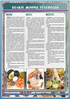 Стенд "Белки. Жиры. Углеводы" - fgospostavki.ru - Иркутск