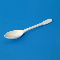 Ложка фарфоровая N2 - fgospostavki.ru - Иркутск