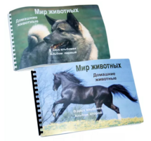 Пособие для слабовидящих - Домашние животные - fgospostavki.ru - Иркутск