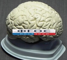 Модель "Мозг в разрезе" (белый) - fgospostavki.ru - Иркутск
