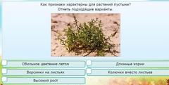 Интерактивные курсы. Окружающий мир 3 класс . Базовый. - fgospostavki.ru - Иркутск