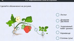 Интерактивные курсы. Биология 7 класс. Расширенный. - fgospostavki.ru - Иркутск
