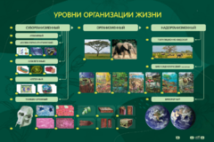 Электрифицированный стенд "Уровни организации жизни" - fgospostavki.ru - Иркутск