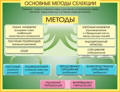 Стенд "Методы селекции и биотехнологии" - fgospostavki.ru - Иркутск