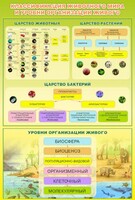 Стенд "Классификация животного мира" - fgospostavki.ru - Иркутск