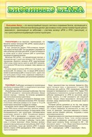 Стенд "Биосинтез белка" - fgospostavki.ru - Иркутск