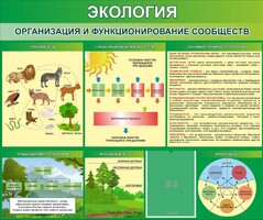 Стенд "Экология. Организация и функционирование сообществ" - fgospostavki.ru - Иркутск