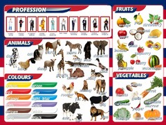 Стенд "Цвета, животные, профессии, фрукты, овощи" - fgospostavki.ru - Иркутск