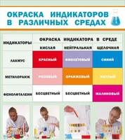 Стенд "Окраска индикаторов в различных средах" - fgospostavki.ru - Иркутск