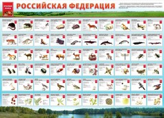 Стенд "Красная книга РФ" - fgospostavki.ru - Иркутск