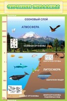 Стенд "Строение биосферы" - fgospostavki.ru - Иркутск
