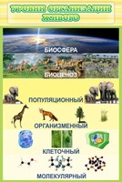 Стенд "Уровни организации живого" - fgospostavki.ru - Иркутск