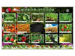 Комплект оборудования "Живой уголок" (растения) - fgospostavki.ru - Иркутск