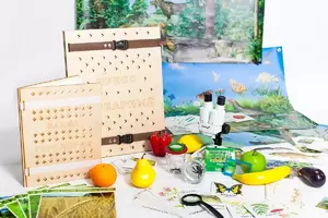 Учебно-методический набор для проектной деятельности в ДОО №1–ЕН (химия, биология, анатомия)  - fgospostavki.ru - Иркутск