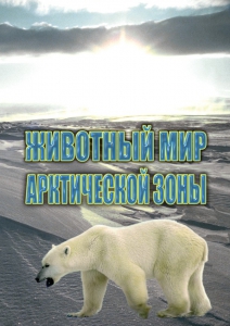 DVD "Животный мир Арктической зоны" - fgospostavki.ru - Иркутск
