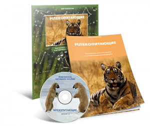Электронное наглядное пособие «Млекопитающие» - fgospostavki.ru - Иркутск