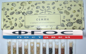 Коллекция "Семена к гербарию для начальной школы" (11 видов) - fgospostavki.ru - Иркутск