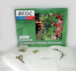 Гербарий "Основные группы растений" (52 листа) - fgospostavki.ru - Иркутск
