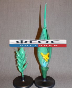 Модель "Цветок пшеницы" - fgospostavki.ru - Иркутск