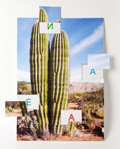 Магнитная орфография (безударные гласные, 1 класс) "Кактус" - fgospostavki.ru - Иркутск