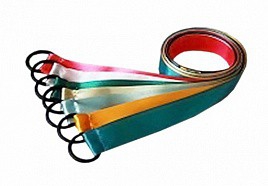 Лента гимнастическая на кольце (0,5 метра) - fgospostavki.ru - Иркутск