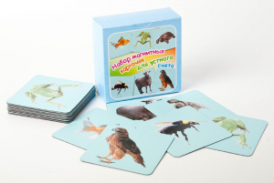 Набор магнитных карточек "Устный счет" (фон голубой) - fgospostavki.ru - Иркутск