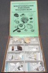 Коллекция "Многообразие раковин моллюсков" - fgospostavki.ru - Иркутск