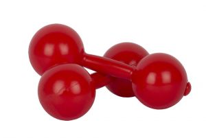 Гантели пластмассовые (0,8 килограмм) - fgospostavki.ru - Иркутск