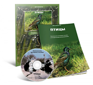 Электронное наглядное пособие «Птицы» - fgospostavki.ru - Иркутск