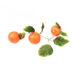 Ветка муляжей "Апельсины" - fgospostavki.ru - Иркутск
