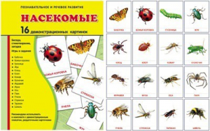 Демонстрационные карточки "Насекомые" - fgospostavki.ru - Иркутск