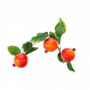 Ветка муляжей "Гранат" - fgospostavki.ru - Иркутск